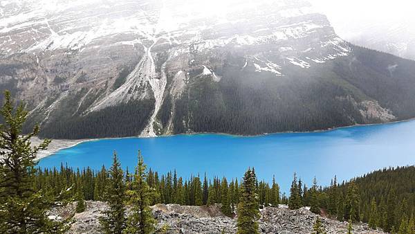 20160527_150501.JPG 20160527_150501.JPG