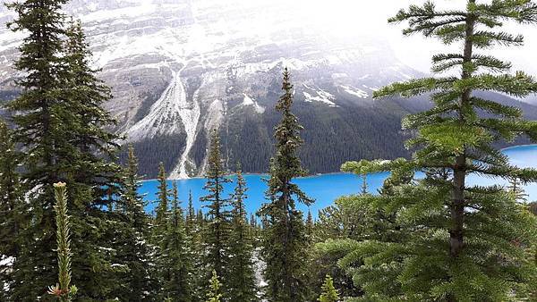 20160527_151101.JPG 20160527_151101.JPG