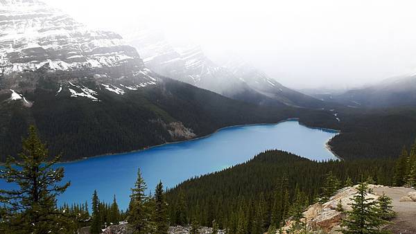 20160527_150957.JPG 20160527_150957.JPG