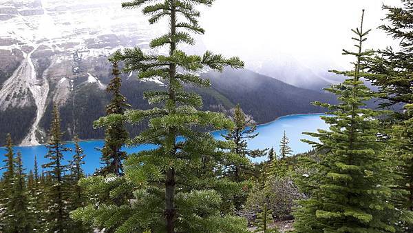 20160527_151106.JPG 20160527_151106.JPG