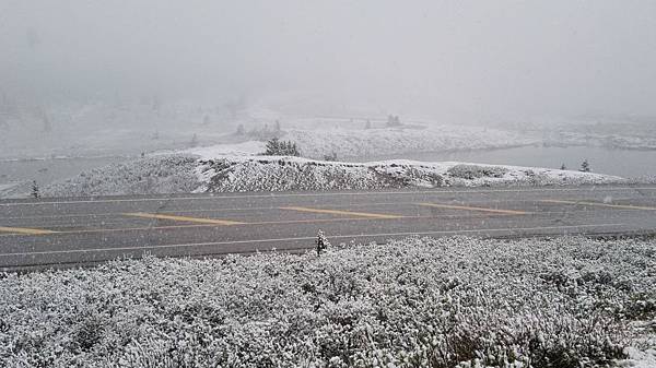 IMG_20160527_104656.JPG IMG_20160527_104656.JPG