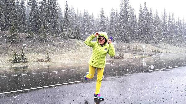 IMG_20160527_092133.JPG IMG_20160527_092133.JPG