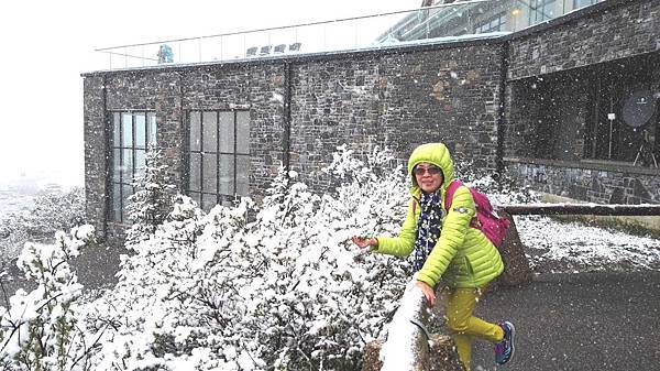 IMG_20160527_104941.JPG IMG_20160527_104941.JPG