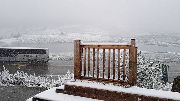 IMG_20160527_104918.JPG IMG_20160527_104918.JPG