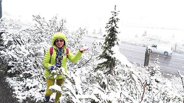 IMG_20160527_111005.JPG IMG_20160527_111005.JPG