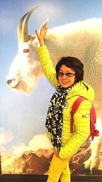 IMG_20160527_121415.JPG IMG_20160527_121415.JPG