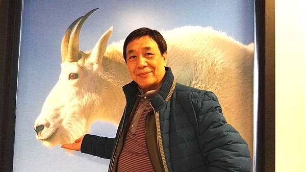 IMG_20160527_121547.JPG IMG_20160527_121547.JPG