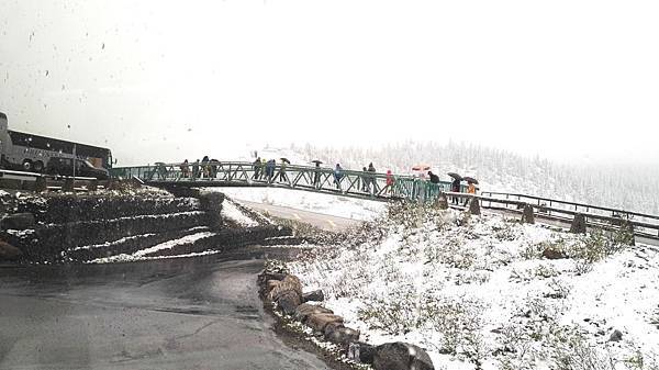 IMG_20160527_122600.JPG IMG_20160527_122600.JPG