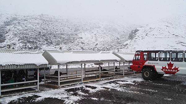 IMG_20160527_123546.JPG IMG_20160527_123546.JPG