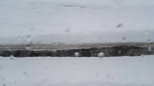 IMG_20160527_125119.JPG IMG_20160527_125119.JPG