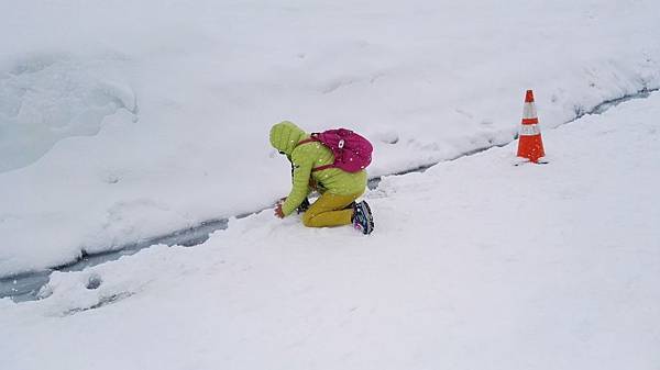 IMG_20160527_130043.JPG IMG_20160527_130043.JPG