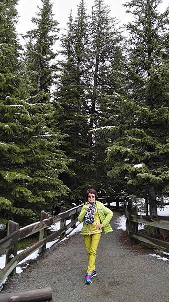 IMG_20160527_145855.JPG IMG_20160527_145855.JPG