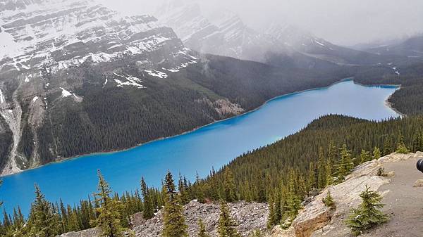 IMG_20160527_150911.JPG IMG_20160527_150911.JPG