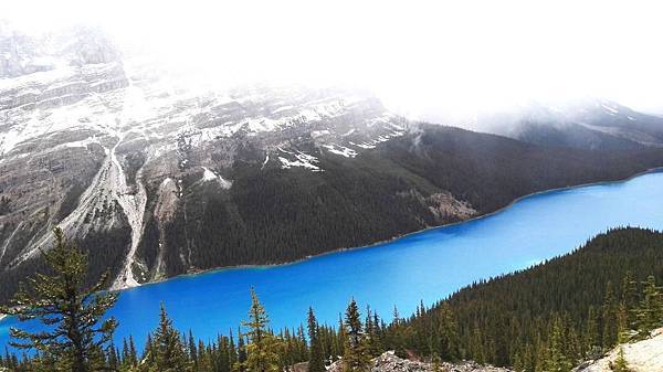 IMG_20160527_150915.JPG IMG_20160527_150915.JPG