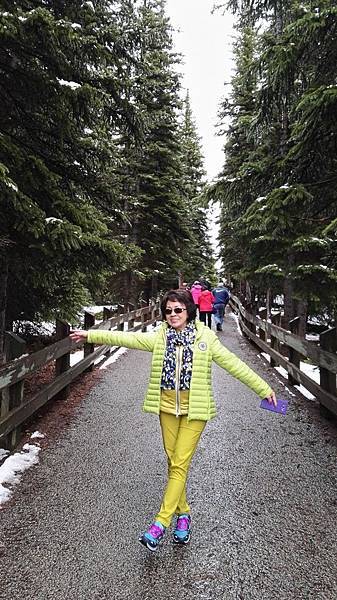 IMG_20160527_151201.JPG IMG_20160527_151201.JPG