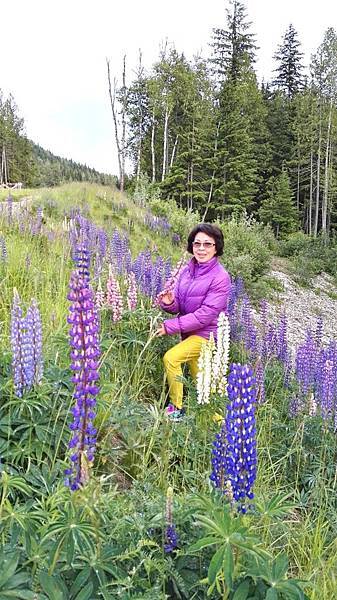 IMG_20160527_194812.JPG IMG_20160527_194812.JPG