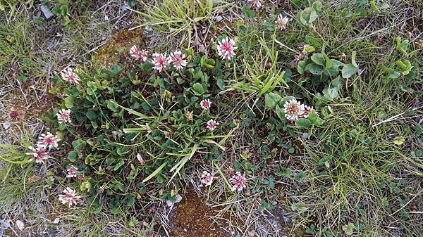 IMG_20160527_200131.JPG IMG_20160527_200131.JPG