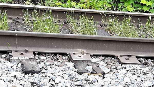 20160528_084949.JPG 20160528_084949.JPG