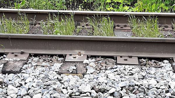 20160528_090131.JPG 20160528_090131.JPG