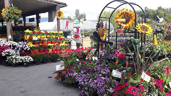 20160528_101757.JPG 20160528_101757.JPG