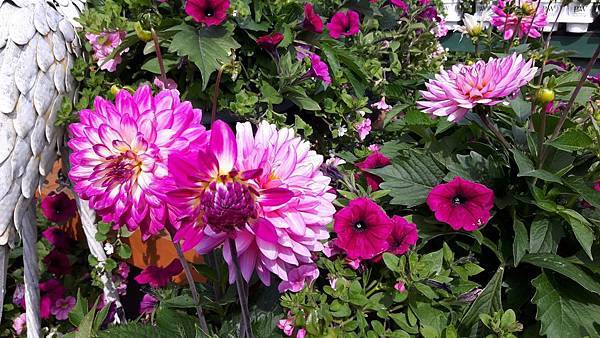 20160528_103328.JPG 20160528_103328.JPG