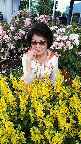 1464705386454.JPG 1464705386454.JPG