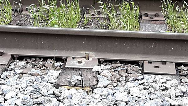 20160528_090118.JPG 20160528_090118.JPG