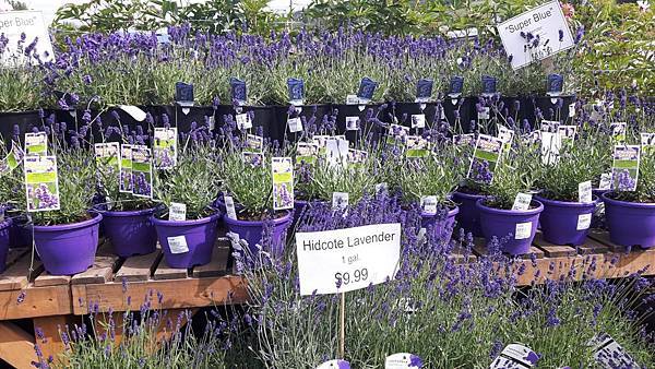 20160528_102101.JPG 20160528_102101.JPG