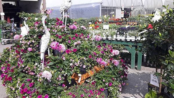 20160528_102157.JPG 20160528_102157.JPG