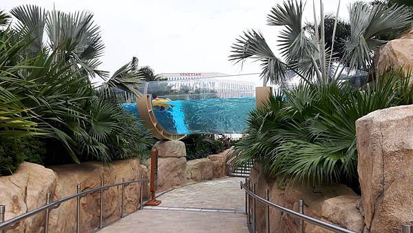 20161023_144307_看图王.JPG 20161023_144307_看图王.JPG