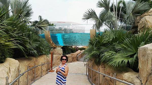 1479609005696_看图王.JPG 1479609005696_看图王.JPG