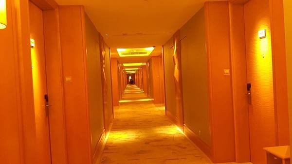 20161023_163014_看图王.JPG 20161023_163014_看图王.JPG