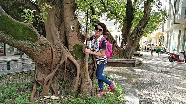 1479610762509_看图王.JPG 1479610762509_看图王.JPG