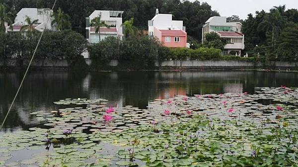 mmexport1477796309789_看图王.JPG mmexport1477796309789_看图王.JPG