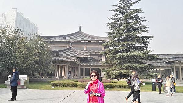 IMG_20161103_103436_看图王.jpg IMG_20161103_103436_看图王.jpg