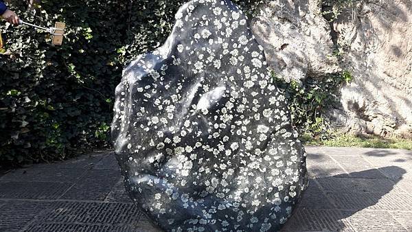 20161105_100645_看图王.JPG 20161105_100645_看图王.JPG