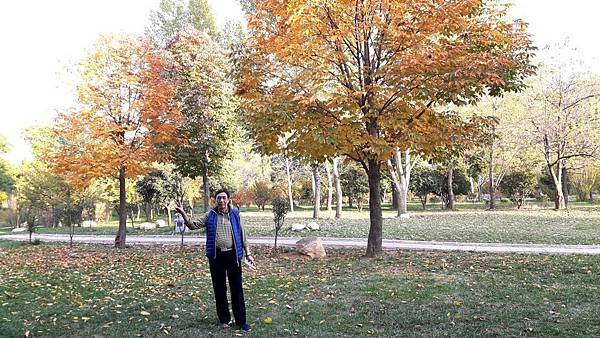 20161105_164041_看图王_看图王.JPG 20161105_164041_看图王_看图王.JPG