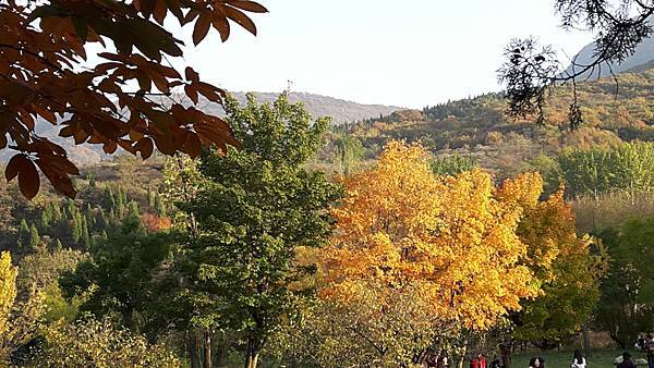 20161105_164119_看图王.JPG 20161105_164119_看图王.JPG