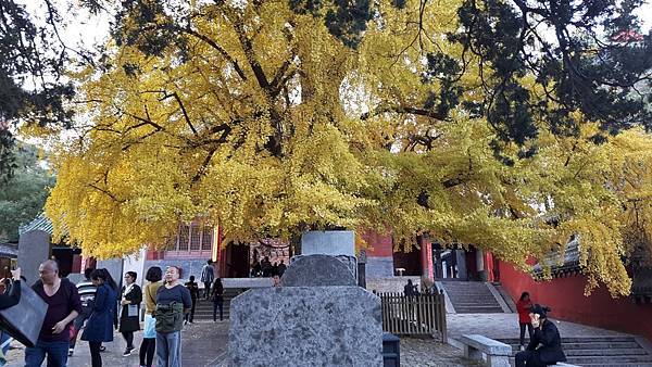 20161105_165944_看图王.JPG 20161105_165944_看图王.JPG