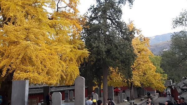 20161105_172415_看图王.JPG 20161105_172415_看图王.JPG