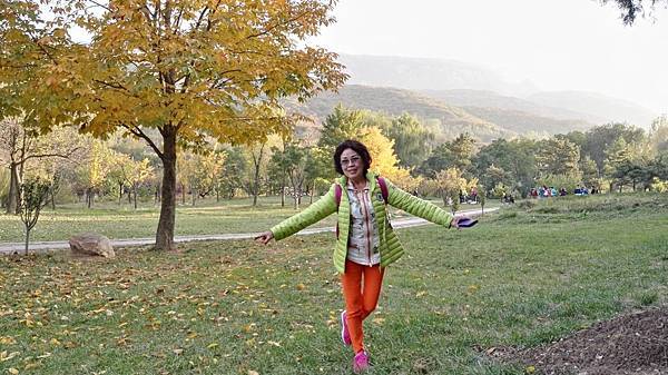 IMG_20161105_164017_看图王.JPG IMG_20161105_164017_看图王.JPG