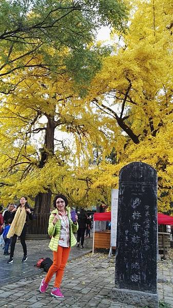 IMG_20161105_165638_看图王.JPG IMG_20161105_165638_看图王.JPG