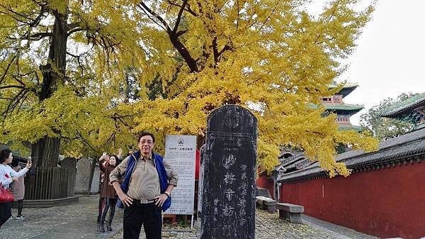 IMG_20161105_165721_看图王.JPG IMG_20161105_165721_看图王.JPG