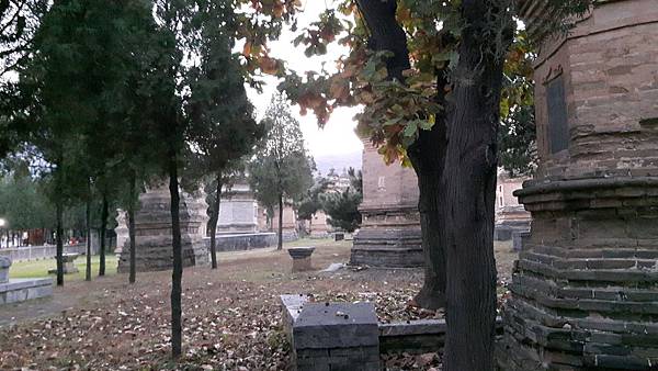 20161105_173919_看图王.jpg 20161105_173919_看图王.jpg