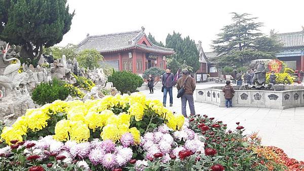 20161106_111927_看图王.JPG 20161106_111927_看图王.JPG