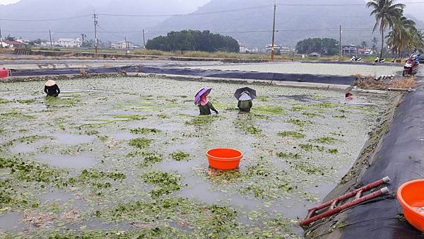 20161122_101028_看图王.JPG 20161122_101028_看图王.JPG