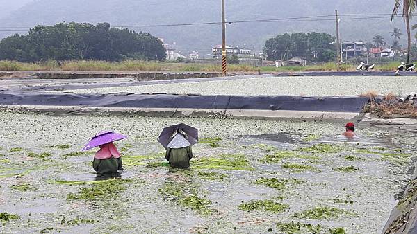 20161122_101041_看图王.JPG 20161122_101041_看图王.JPG