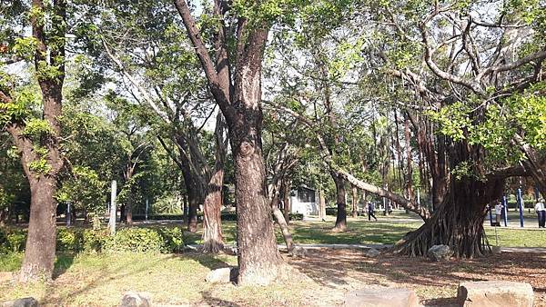 20161125_081743_看图王.JPG 20161125_081743_看图王.JPG