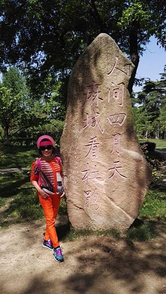 mmexport1492698768671_看图王.JPG mmexport1492698768671_看图王.JPG