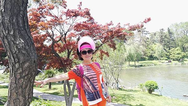 mmexport1492698936125_看图王.JPG mmexport1492698936125_看图王.JPG